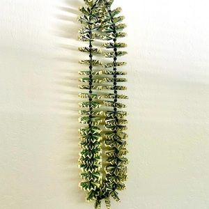 Graduation Money Leis